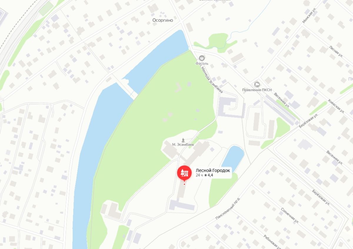 Пансионат «Лесной городок» Московская область